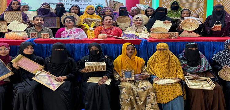 প্রধান উপদেষ্টা পদত্যাগ করবেন না: ফাইজ তাইয়েব আহমেদ