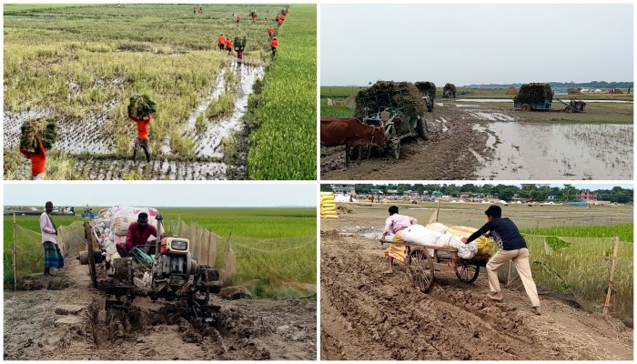 প্রধান উপদেষ্টা পদত্যাগ করবেন না: ফাইজ তাইয়েব আহমেদ