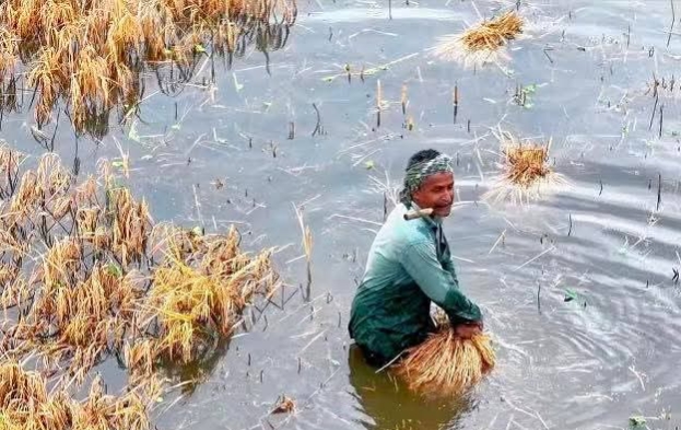 প্রধান উপদেষ্টা পদত্যাগ করবেন না: ফাইজ তাইয়েব আহমেদ