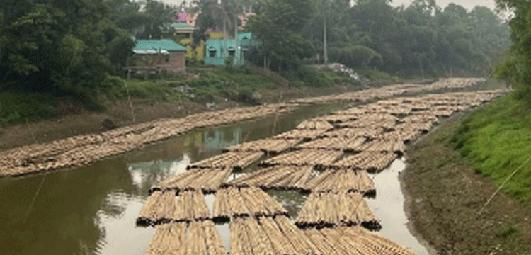 প্রধান উপদেষ্টা পদত্যাগ করবেন না: ফাইজ তাইয়েব আহমেদ