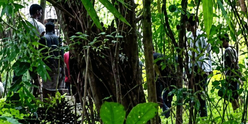 প্রধান উপদেষ্টা পদত্যাগ করবেন না: ফাইজ তাইয়েব আহমেদ