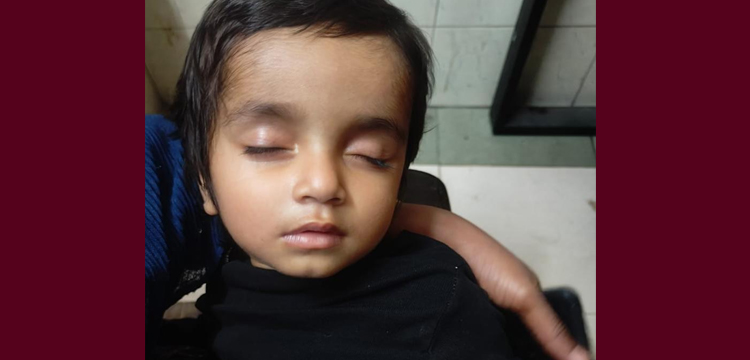 প্রধান উপদেষ্টা পদত্যাগ করবেন না: ফাইজ তাইয়েব আহমেদ