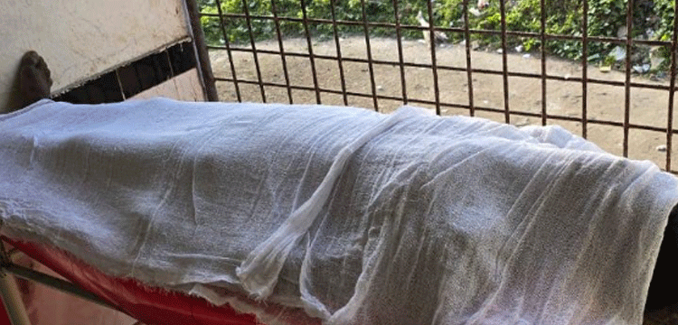 প্রধান উপদেষ্টা পদত্যাগ করবেন না: ফাইজ তাইয়েব আহমেদ