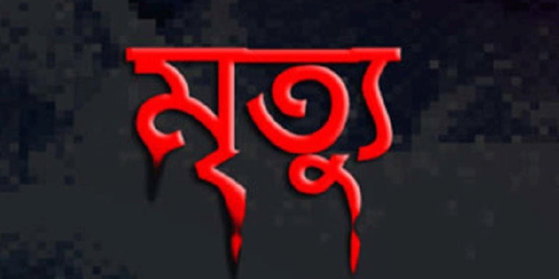 প্রধান উপদেষ্টা পদত্যাগ করবেন না: ফাইজ তাইয়েব আহমেদ