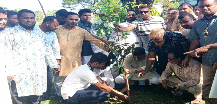 প্রধান উপদেষ্টা পদত্যাগ করবেন না: ফাইজ তাইয়েব আহমেদ