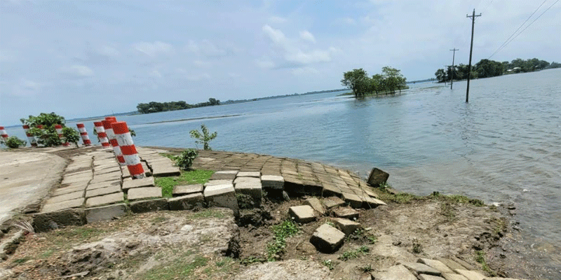 প্রধান উপদেষ্টা পদত্যাগ করবেন না: ফাইজ তাইয়েব আহমেদ