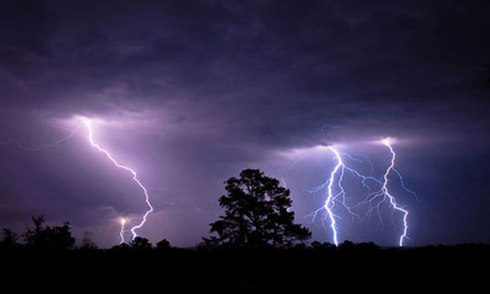 প্রধান উপদেষ্টা পদত্যাগ করবেন না: ফাইজ তাইয়েব আহমেদ