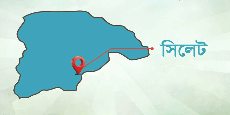 প্রধান উপদেষ্টা পদত্যাগ করবেন না: ফাইজ তাইয়েব আহমেদ