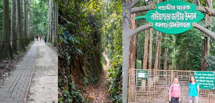 প্রধান উপদেষ্টা পদত্যাগ করবেন না: ফাইজ তাইয়েব আহমেদ