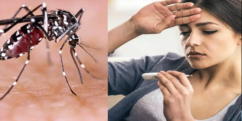 প্রধান উপদেষ্টা পদত্যাগ করবেন না: ফাইজ তাইয়েব আহমেদ