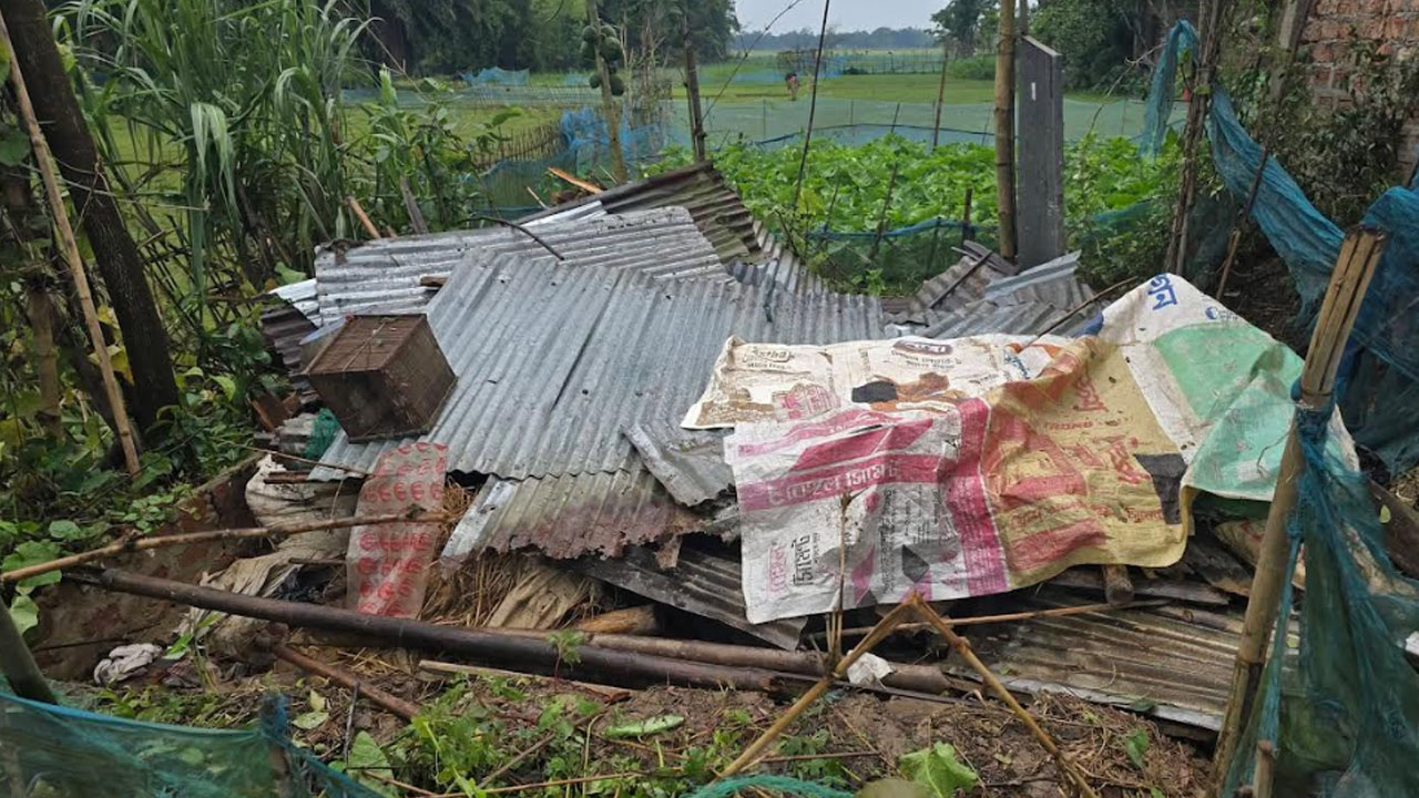 প্রধান উপদেষ্টা পদত্যাগ করবেন না: ফাইজ তাইয়েব আহমেদ
