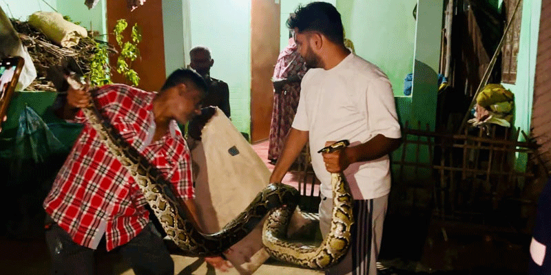 প্রধান উপদেষ্টা পদত্যাগ করবেন না: ফাইজ তাইয়েব আহমেদ