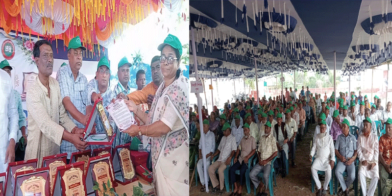 প্রধান উপদেষ্টা পদত্যাগ করবেন না: ফাইজ তাইয়েব আহমেদ