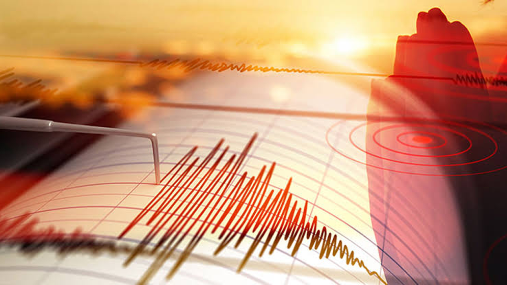 প্রধান উপদেষ্টা পদত্যাগ করবেন না: ফাইজ তাইয়েব আহমেদ