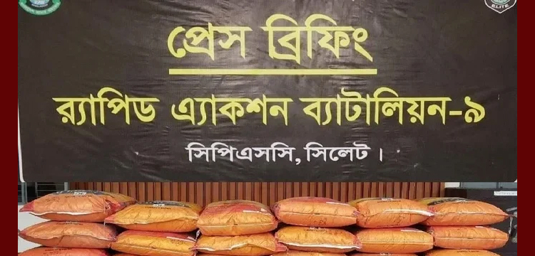 প্রধান উপদেষ্টা পদত্যাগ করবেন না: ফাইজ তাইয়েব আহমেদ