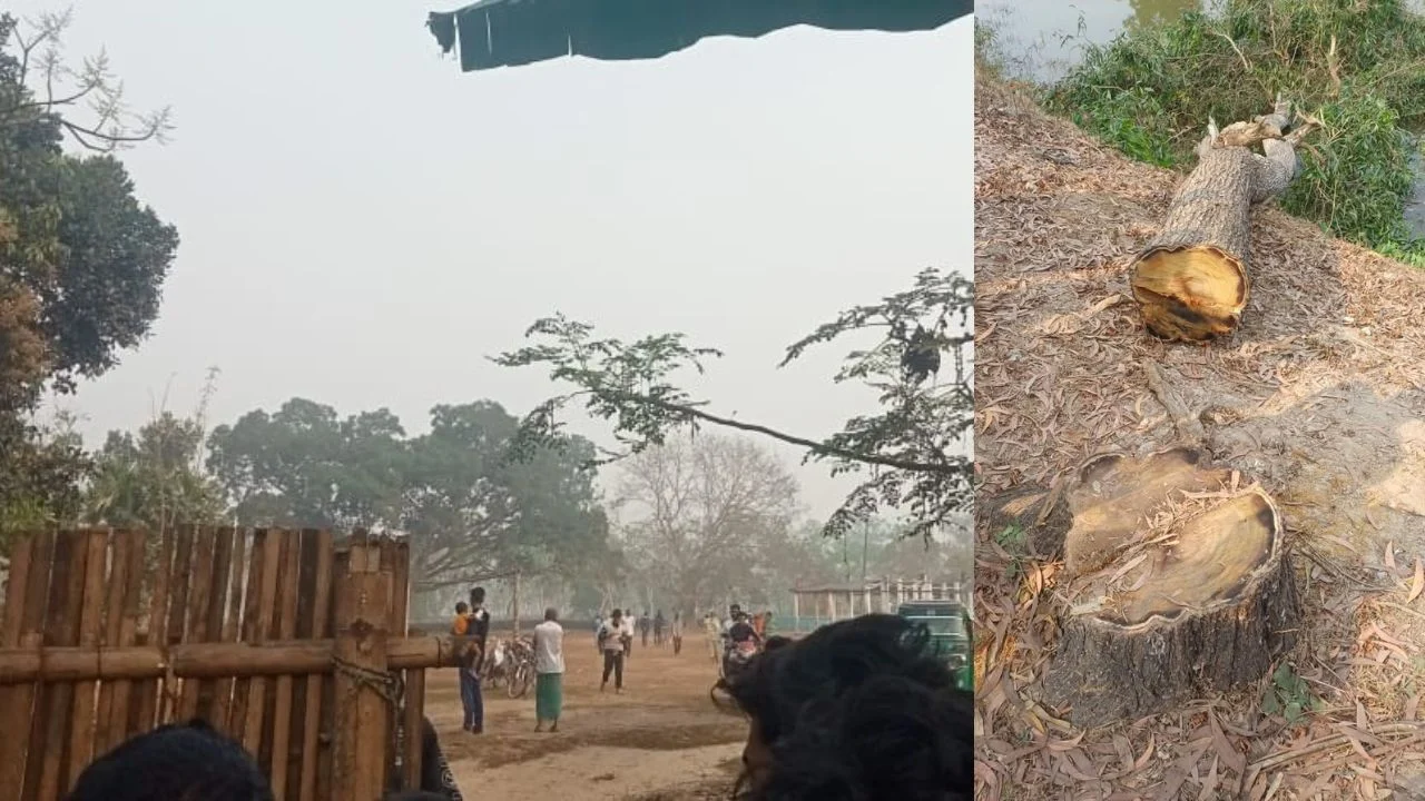 প্রধান উপদেষ্টা পদত্যাগ করবেন না: ফাইজ তাইয়েব আহমেদ