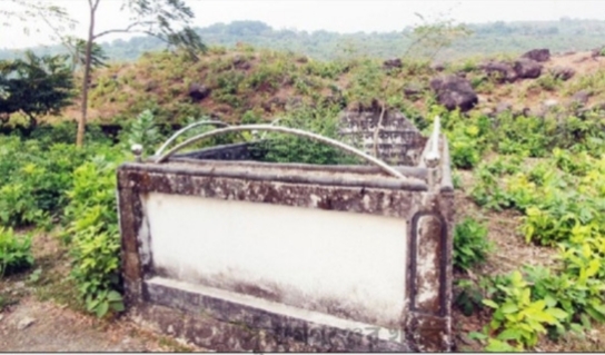 প্রধান উপদেষ্টা পদত্যাগ করবেন না: ফাইজ তাইয়েব আহমেদ