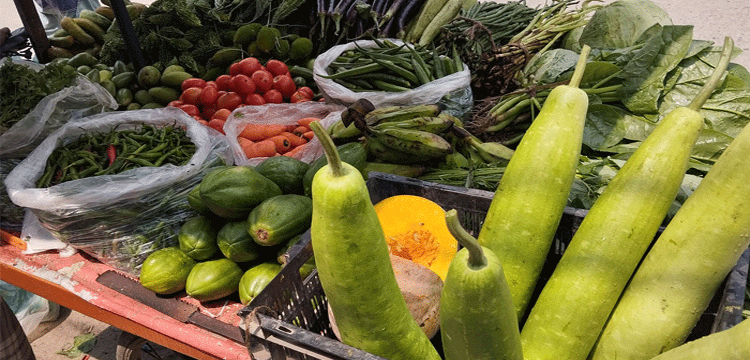 প্রধান উপদেষ্টা পদত্যাগ করবেন না: ফাইজ তাইয়েব আহমেদ