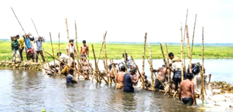প্রধান উপদেষ্টা পদত্যাগ করবেন না: ফাইজ তাইয়েব আহমেদ