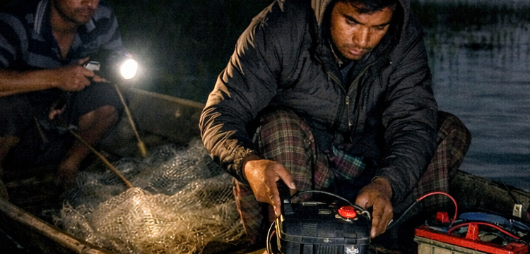 প্রধান উপদেষ্টা পদত্যাগ করবেন না: ফাইজ তাইয়েব আহমেদ