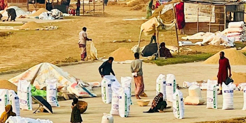 প্রধান উপদেষ্টা পদত্যাগ করবেন না: ফাইজ তাইয়েব আহমেদ