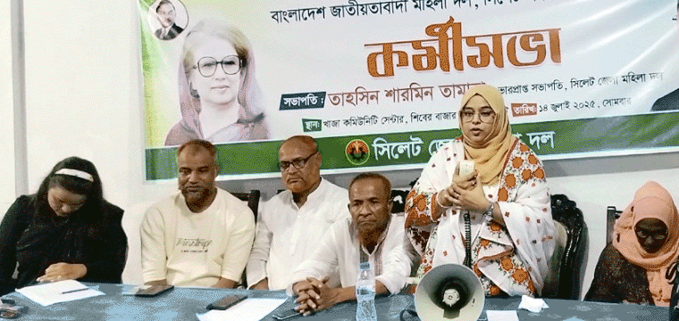 প্রধান উপদেষ্টা পদত্যাগ করবেন না: ফাইজ তাইয়েব আহমেদ