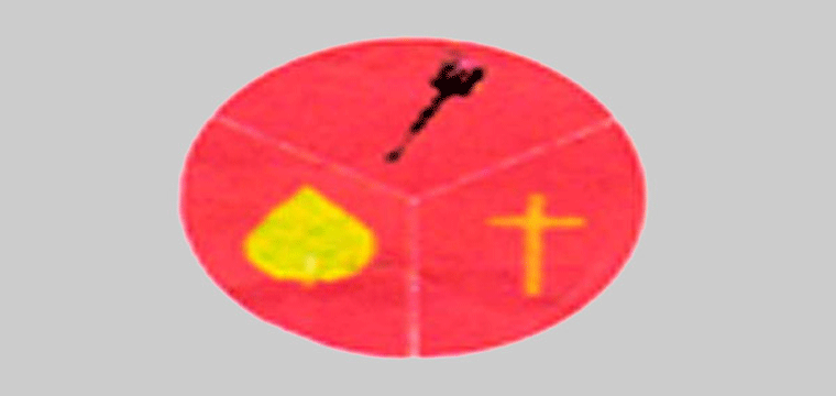 প্রধান উপদেষ্টা পদত্যাগ করবেন না: ফাইজ তাইয়েব আহমেদ