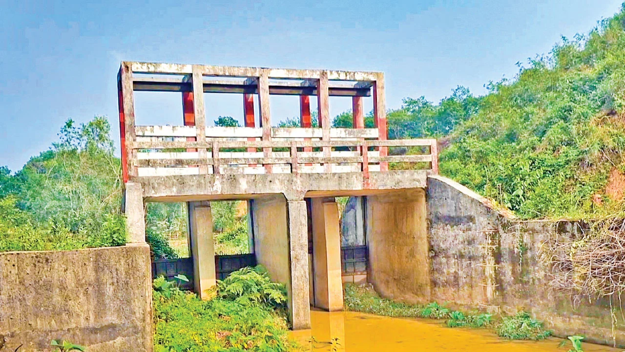 প্রধান উপদেষ্টা পদত্যাগ করবেন না: ফাইজ তাইয়েব আহমেদ