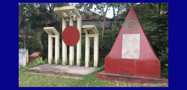 প্রধান উপদেষ্টা পদত্যাগ করবেন না: ফাইজ তাইয়েব আহমেদ
