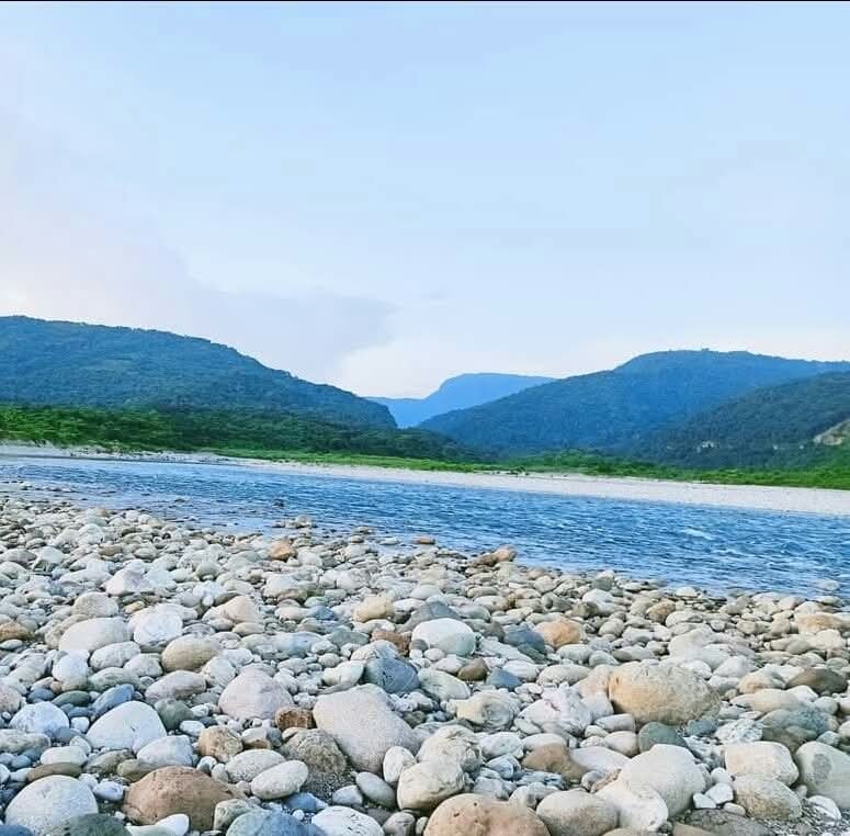 প্রধান উপদেষ্টা পদত্যাগ করবেন না: ফাইজ তাইয়েব আহমেদ
