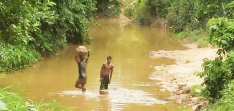 প্রধান উপদেষ্টা পদত্যাগ করবেন না: ফাইজ তাইয়েব আহমেদ