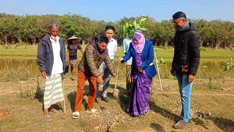 প্রধান উপদেষ্টা পদত্যাগ করবেন না: ফাইজ তাইয়েব আহমেদ