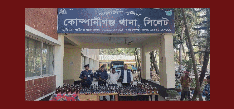 প্রধান উপদেষ্টা পদত্যাগ করবেন না: ফাইজ তাইয়েব আহমেদ