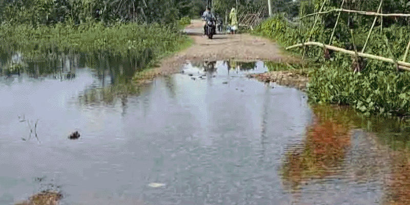 প্রধান উপদেষ্টা পদত্যাগ করবেন না: ফাইজ তাইয়েব আহমেদ