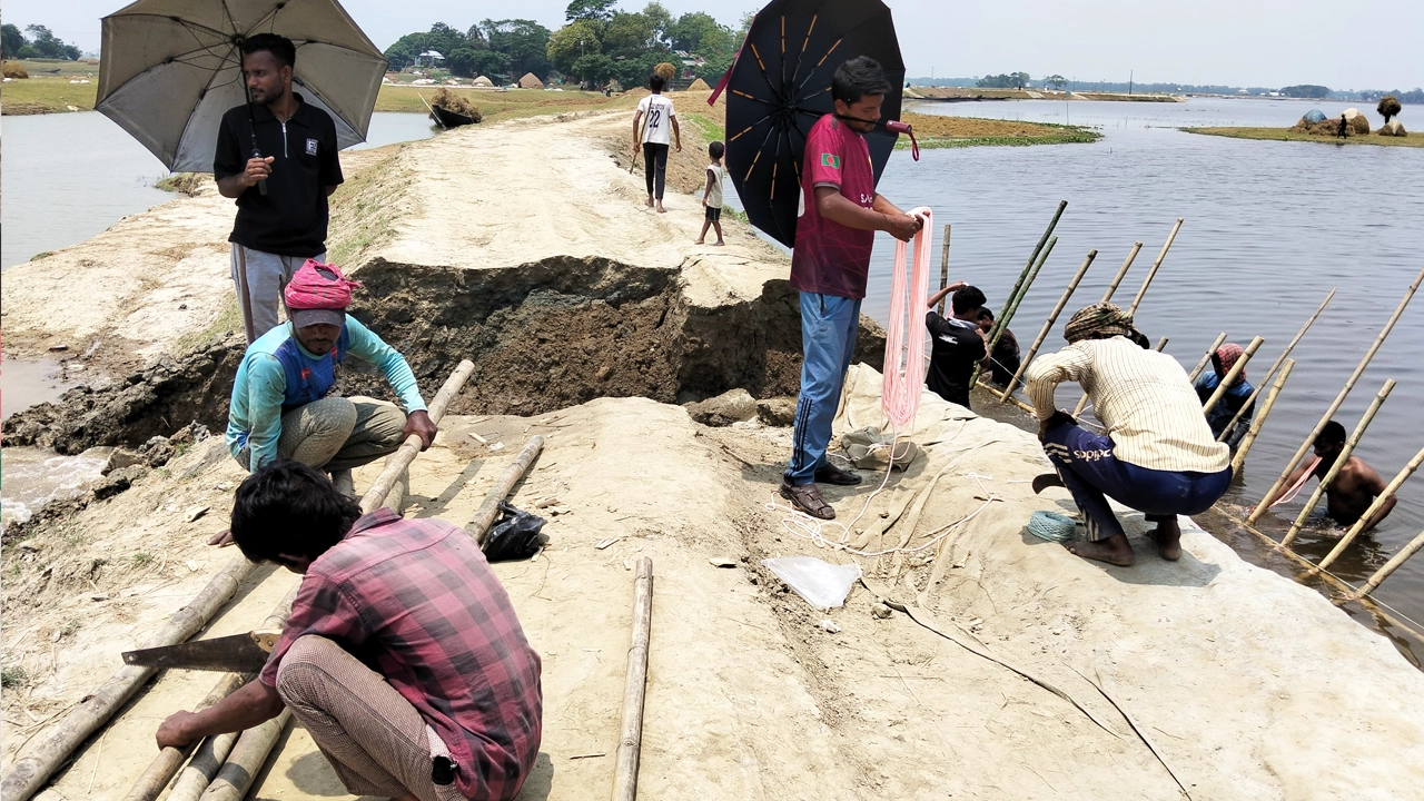 প্রধান উপদেষ্টা পদত্যাগ করবেন না: ফাইজ তাইয়েব আহমেদ