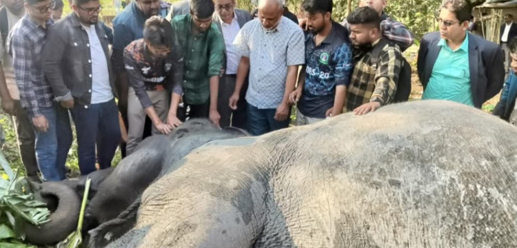 প্রধান উপদেষ্টা পদত্যাগ করবেন না: ফাইজ তাইয়েব আহমেদ