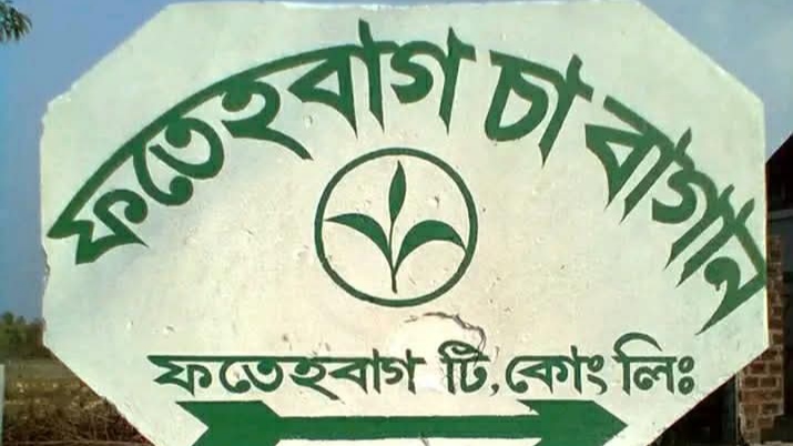 প্রধান উপদেষ্টা পদত্যাগ করবেন না: ফাইজ তাইয়েব আহমেদ