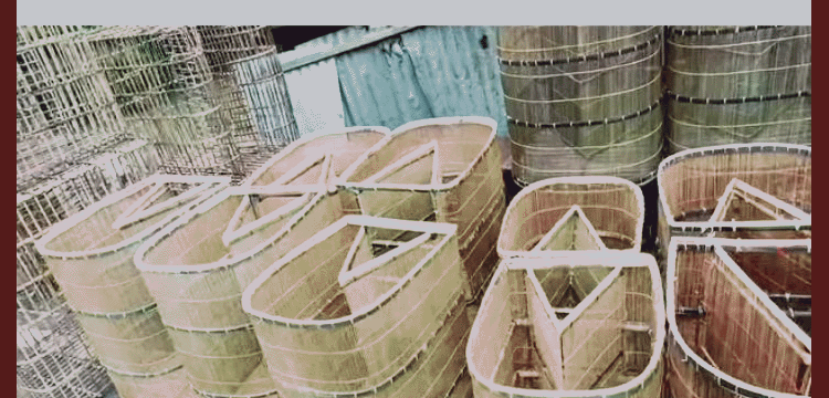 প্রধান উপদেষ্টা পদত্যাগ করবেন না: ফাইজ তাইয়েব আহমেদ