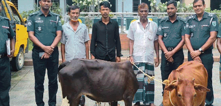 প্রধান উপদেষ্টা পদত্যাগ করবেন না: ফাইজ তাইয়েব আহমেদ