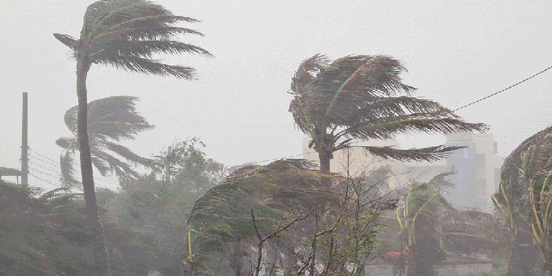 প্রধান উপদেষ্টা পদত্যাগ করবেন না: ফাইজ তাইয়েব আহমেদ