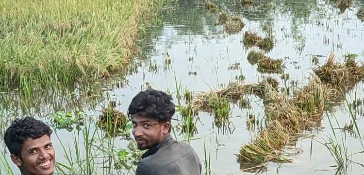 প্রধান উপদেষ্টা পদত্যাগ করবেন না: ফাইজ তাইয়েব আহমেদ