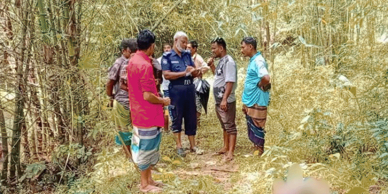 প্রধান উপদেষ্টা পদত্যাগ করবেন না: ফাইজ তাইয়েব আহমেদ