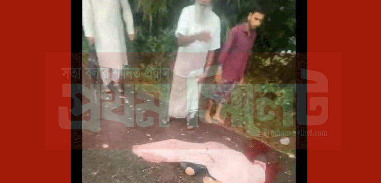 প্রধান উপদেষ্টা পদত্যাগ করবেন না: ফাইজ তাইয়েব আহমেদ