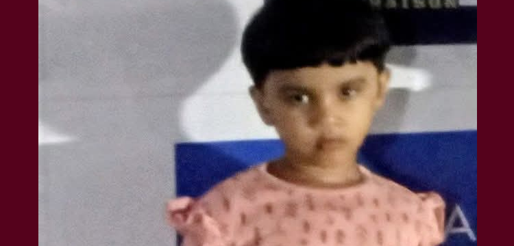 প্রধান উপদেষ্টা পদত্যাগ করবেন না: ফাইজ তাইয়েব আহমেদ