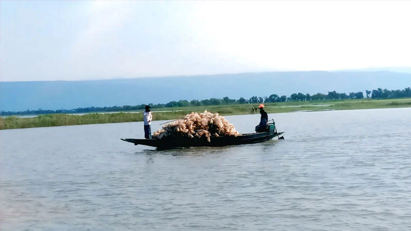 প্রধান উপদেষ্টা পদত্যাগ করবেন না: ফাইজ তাইয়েব আহমেদ