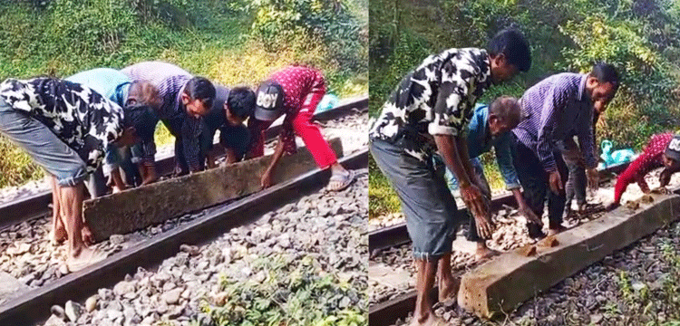 প্রধান উপদেষ্টা পদত্যাগ করবেন না: ফাইজ তাইয়েব আহমেদ