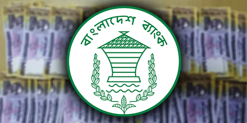 প্রধান উপদেষ্টা পদত্যাগ করবেন না: ফাইজ তাইয়েব আহমেদ