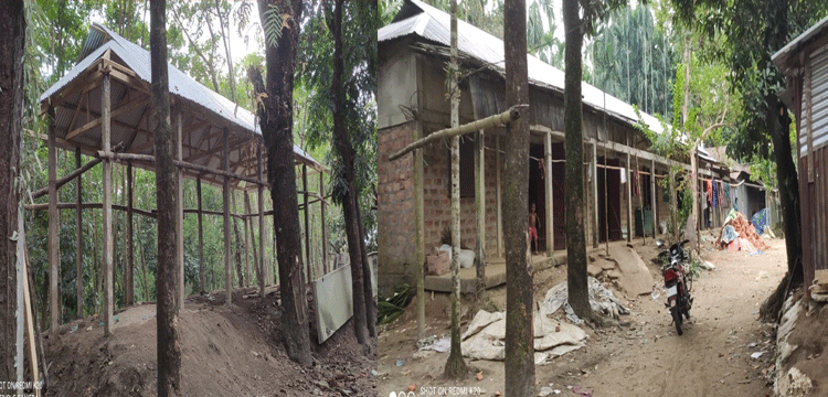 প্রধান উপদেষ্টা পদত্যাগ করবেন না: ফাইজ তাইয়েব আহমেদ