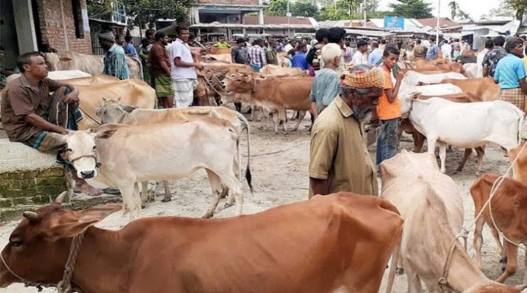প্রধান উপদেষ্টা পদত্যাগ করবেন না: ফাইজ তাইয়েব আহমেদ