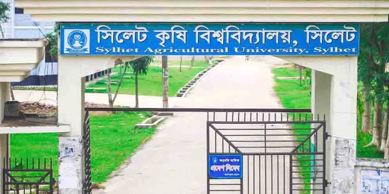 প্রধান উপদেষ্টা পদত্যাগ করবেন না: ফাইজ তাইয়েব আহমেদ